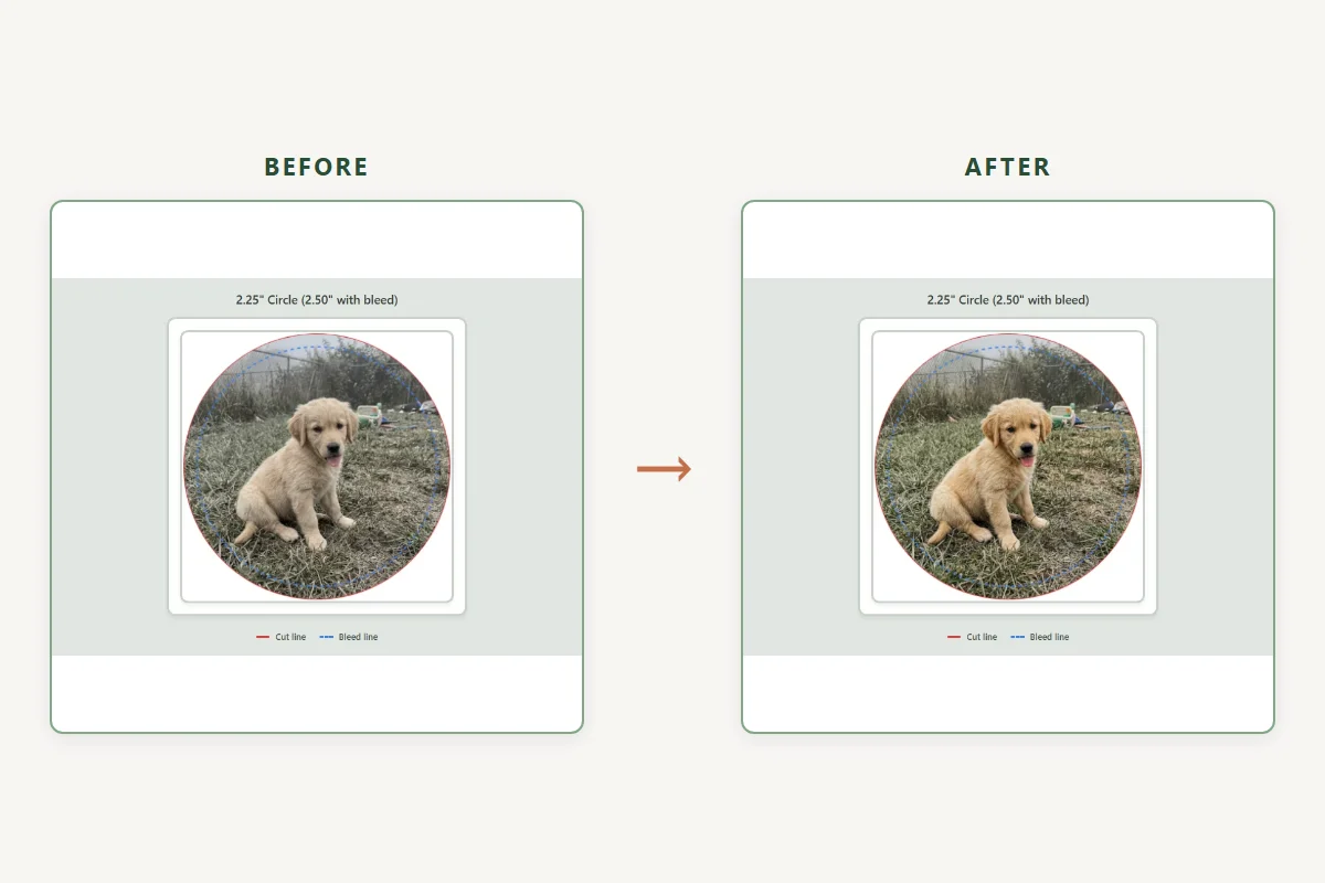 A washed-out photo before AI enhancement and the same photo after, with restored colour
