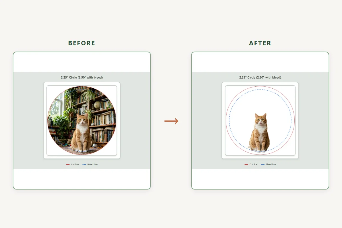 A cat photographed against a cluttered bookshelf, then the same cat cleanly cut out